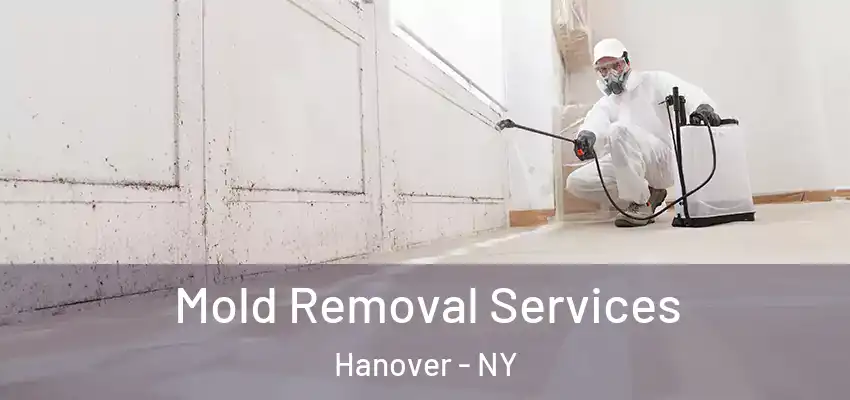  Mold Removal Services Hanover - NY