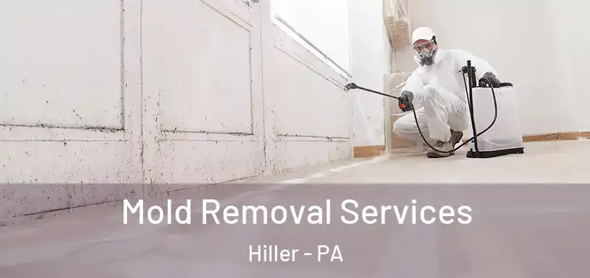  Mold Removal Services Hiller - PA