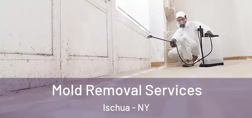  Mold Removal Services Ischua - NY