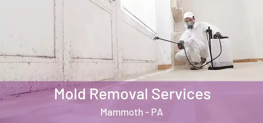  Mold Removal Services Mammoth - PA