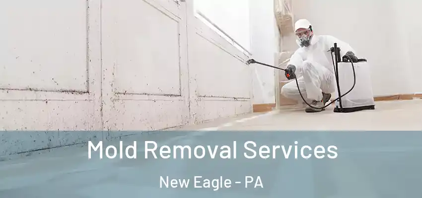  Mold Removal Services New Eagle - PA
