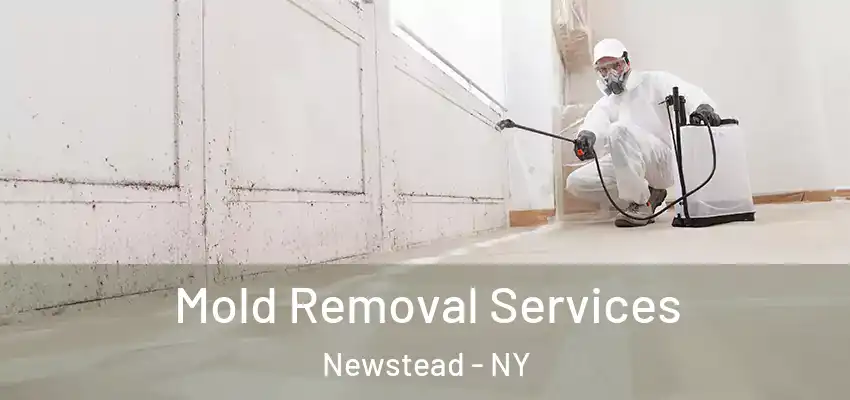 Mold Removal Services Newstead - NY