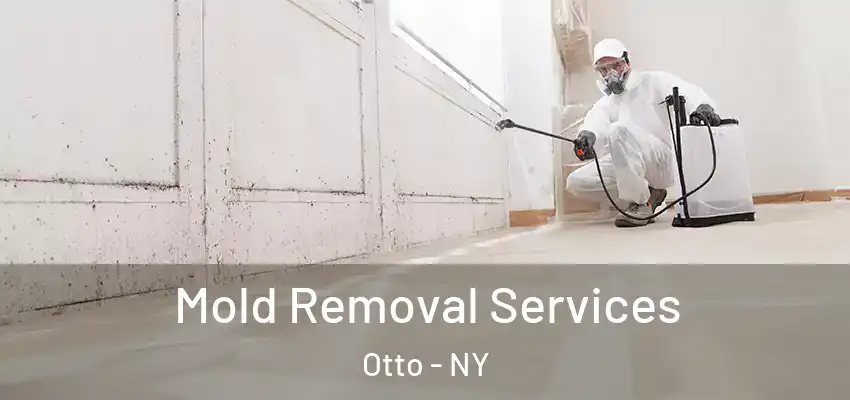 Mold Removal Services Otto - NY