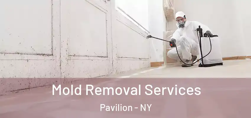  Mold Removal Services Pavilion - NY