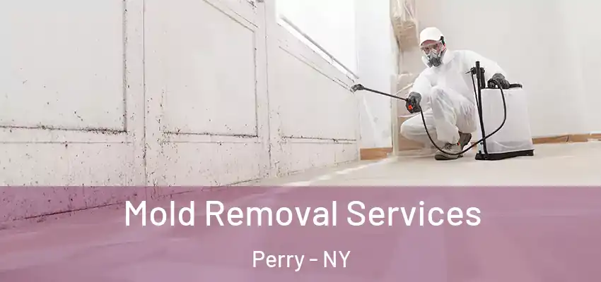  Mold Removal Services Perry - NY