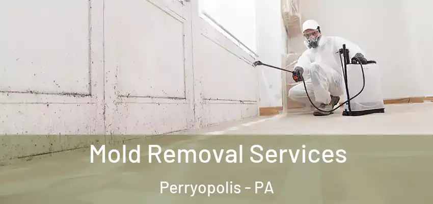  Mold Removal Services Perryopolis - PA