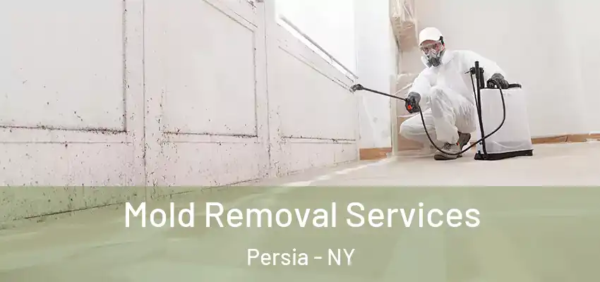  Mold Removal Services Persia - NY