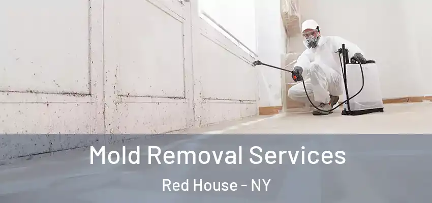  Mold Removal Services Red House - NY
