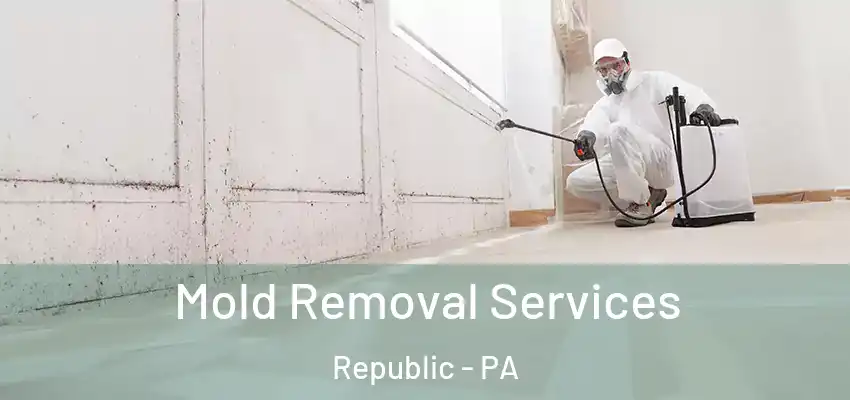  Mold Removal Services Republic - PA