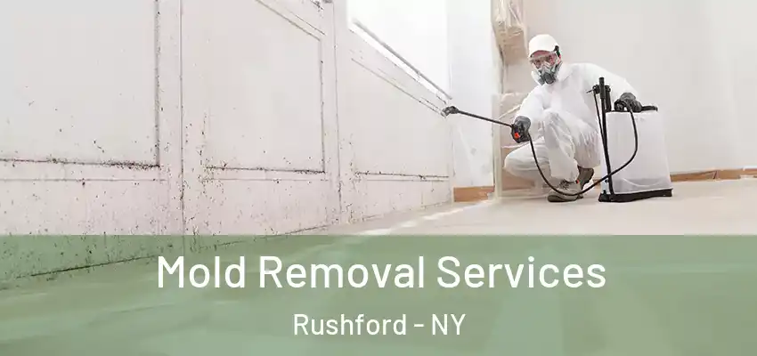  Mold Removal Services Rushford - NY