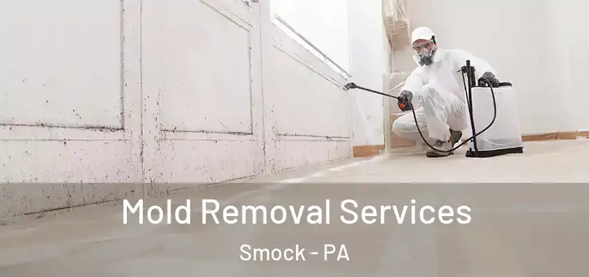  Mold Removal Services Smock - PA