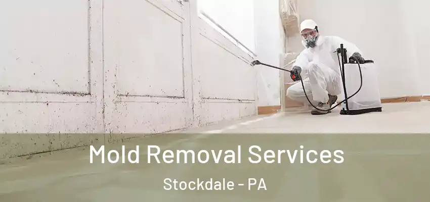  Mold Removal Services Stockdale - PA