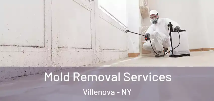  Mold Removal Services Villenova - NY