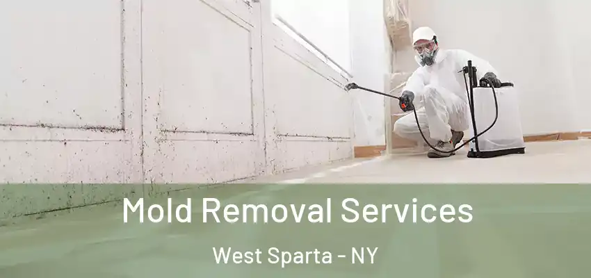  Mold Removal Services West Sparta - NY