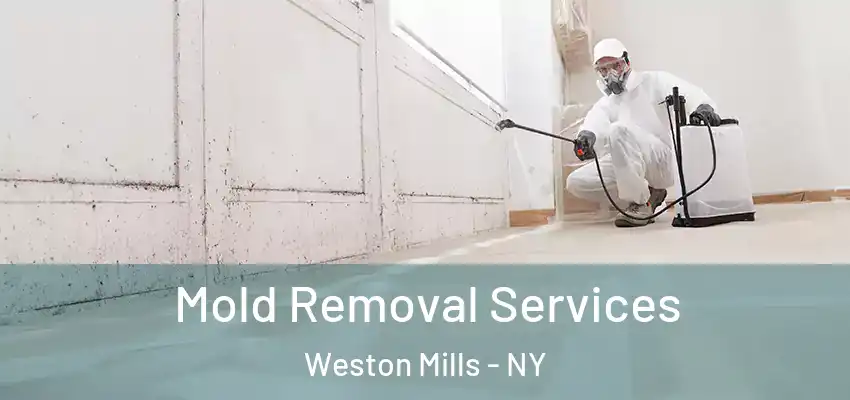  Mold Removal Services Weston Mills - NY