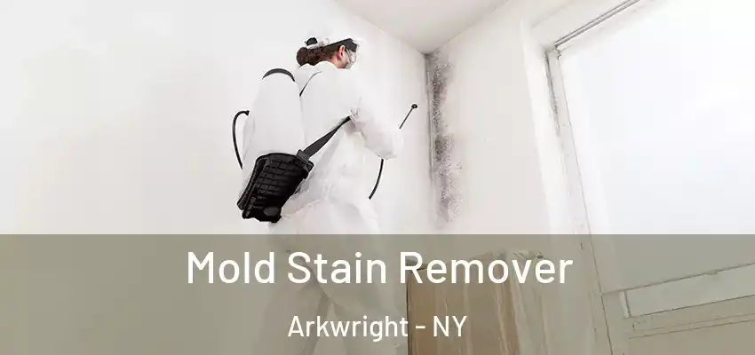  Mold Stain Remover Arkwright - NY