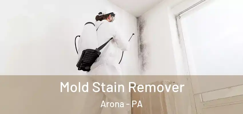  Mold Stain Remover Arona - PA
