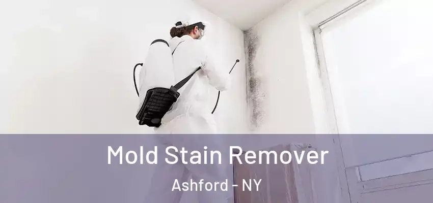  Mold Stain Remover Ashford - NY