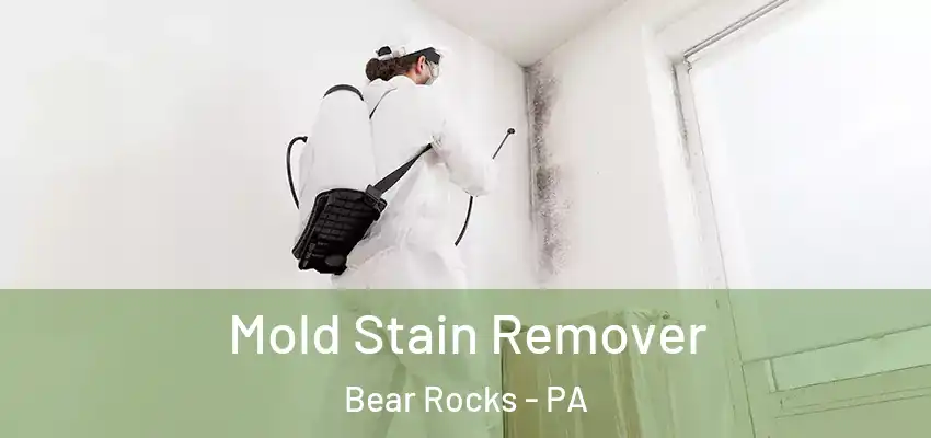  Mold Stain Remover Bear Rocks - PA