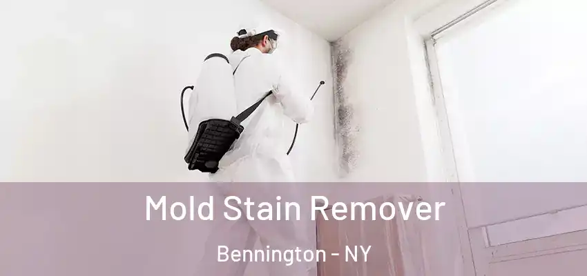  Mold Stain Remover Bennington - NY