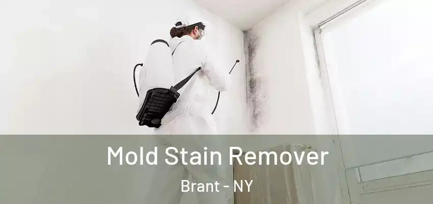  Mold Stain Remover Brant - NY