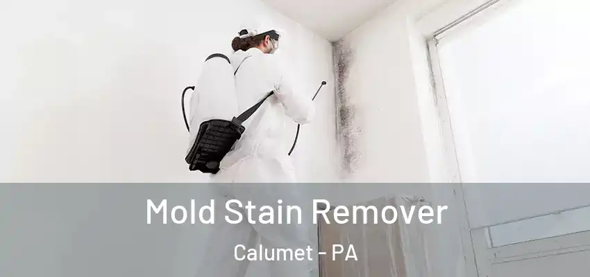  Mold Stain Remover Calumet - PA
