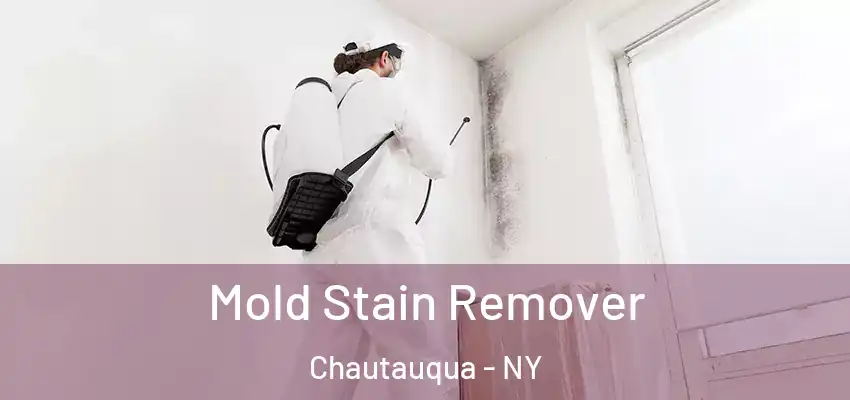  Mold Stain Remover Chautauqua - NY