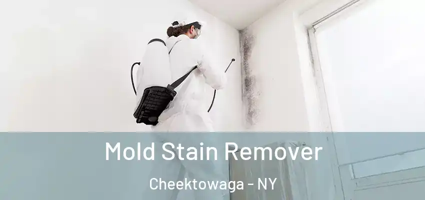  Mold Stain Remover Cheektowaga - NY