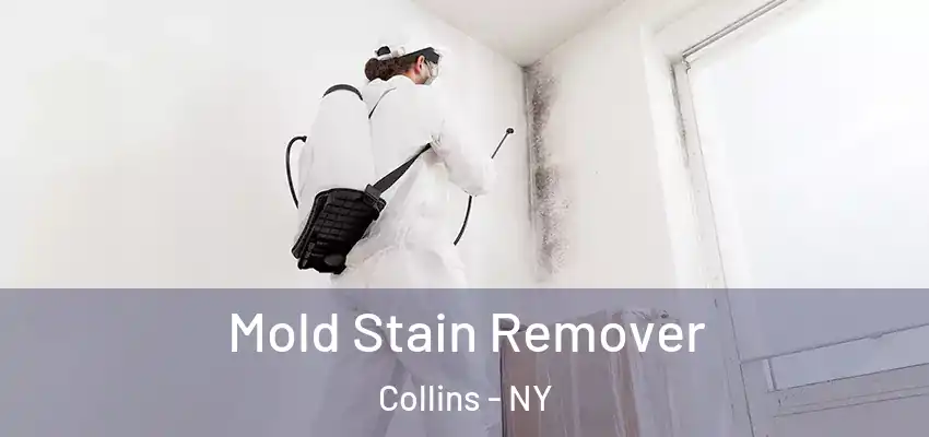  Mold Stain Remover Collins - NY