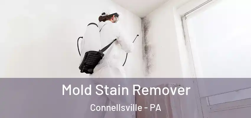  Mold Stain Remover Connellsville - PA