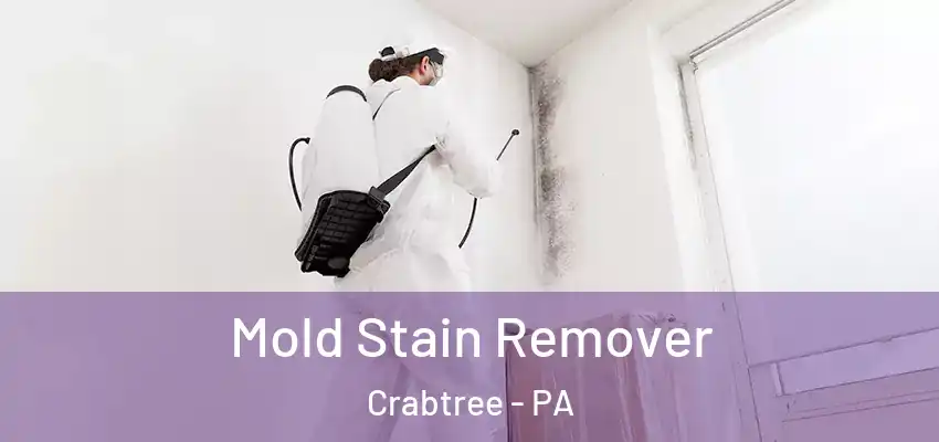  Mold Stain Remover Crabtree - PA
