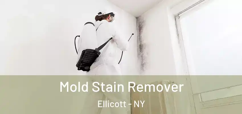  Mold Stain Remover Ellicott - NY