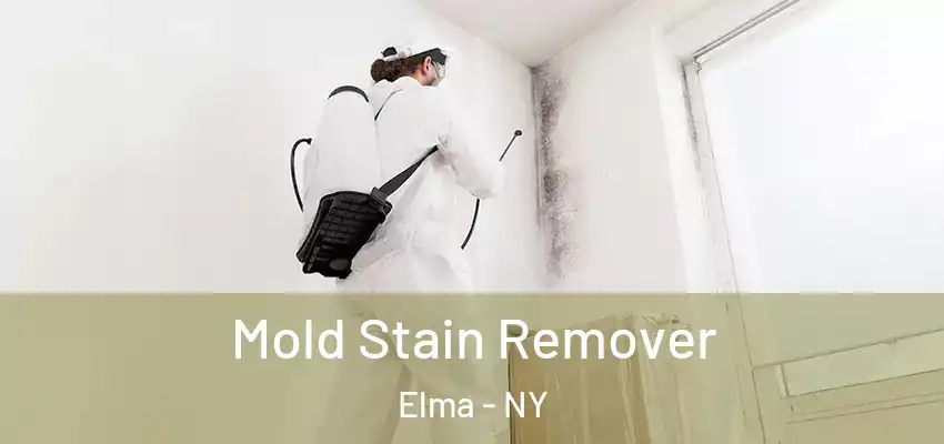  Mold Stain Remover Elma - NY