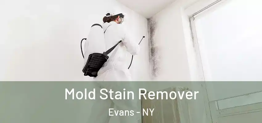  Mold Stain Remover Evans - NY