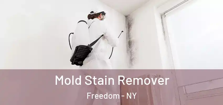  Mold Stain Remover Freedom - NY