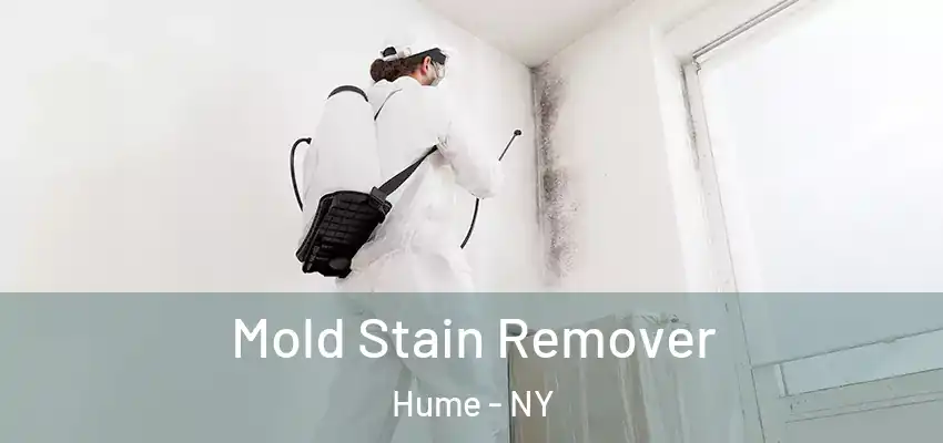  Mold Stain Remover Hume - NY