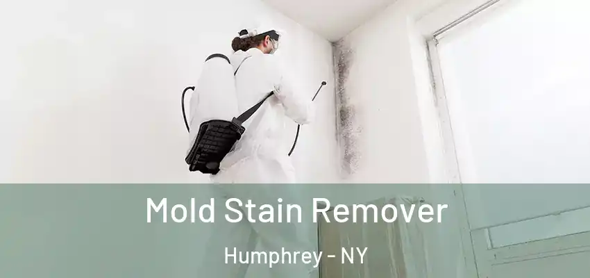  Mold Stain Remover Humphrey - NY