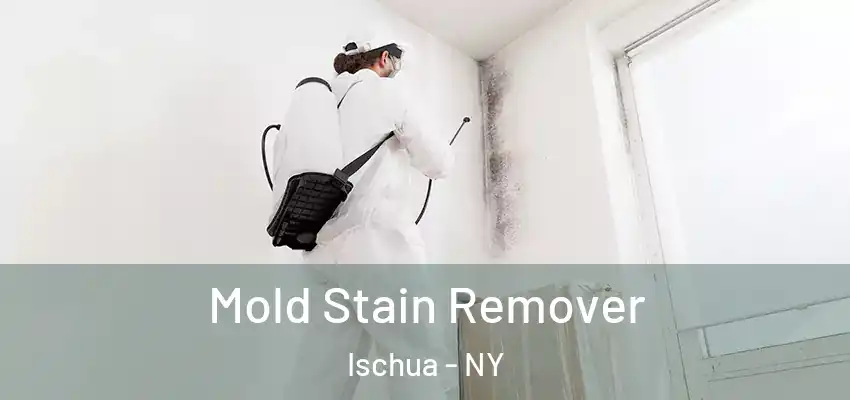  Mold Stain Remover Ischua - NY