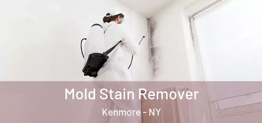 Mold Stain Remover Kenmore - NY