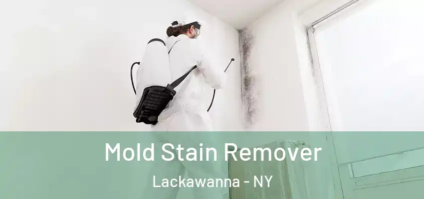  Mold Stain Remover Lackawanna - NY