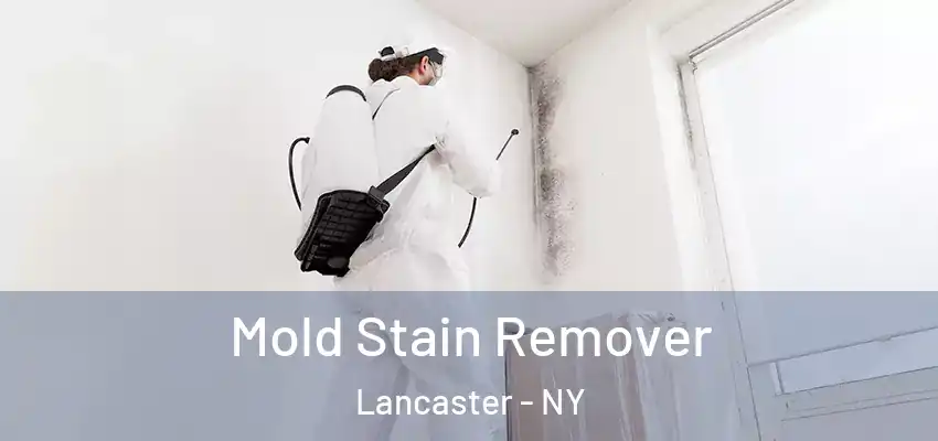  Mold Stain Remover Lancaster - NY