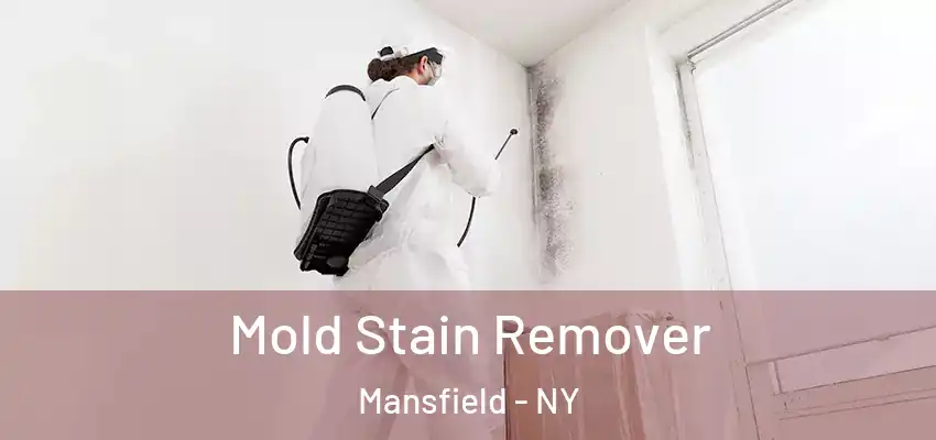  Mold Stain Remover Mansfield - NY