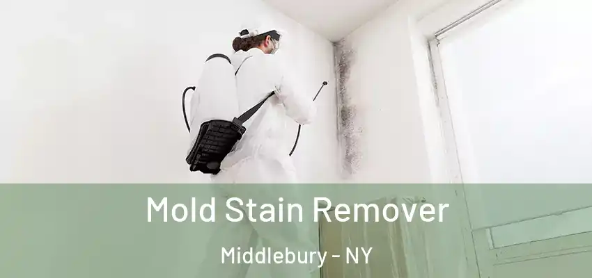  Mold Stain Remover Middlebury - NY