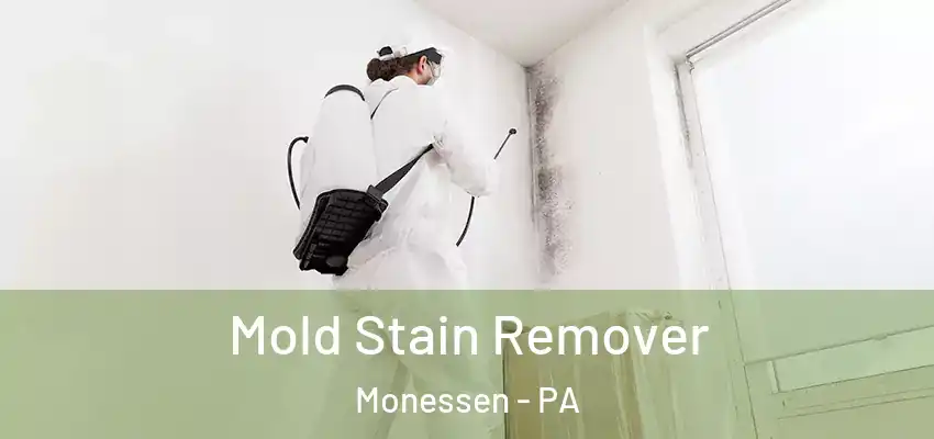  Mold Stain Remover Monessen - PA