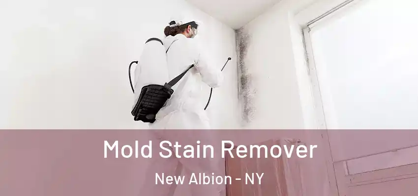  Mold Stain Remover New Albion - NY