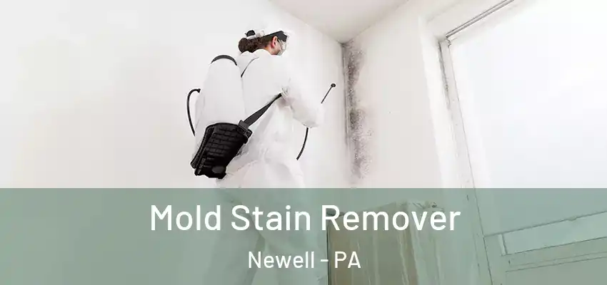  Mold Stain Remover Newell - PA