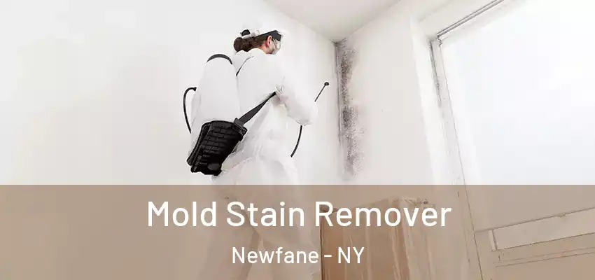  Mold Stain Remover Newfane - NY