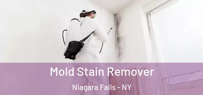 Mold Stain Remover Niagara Falls - NY