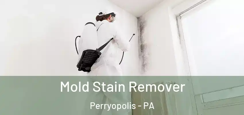  Mold Stain Remover Perryopolis - PA