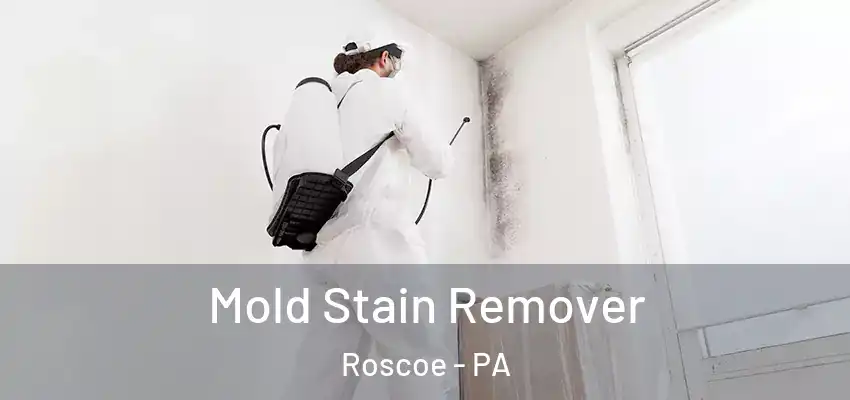  Mold Stain Remover Roscoe - PA